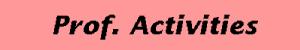 Professional Activities
